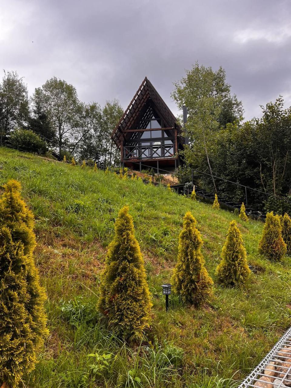 Valley Hills-Котедж На Схилах Гір З Чаном-Джакузі Slavske Exterior photo