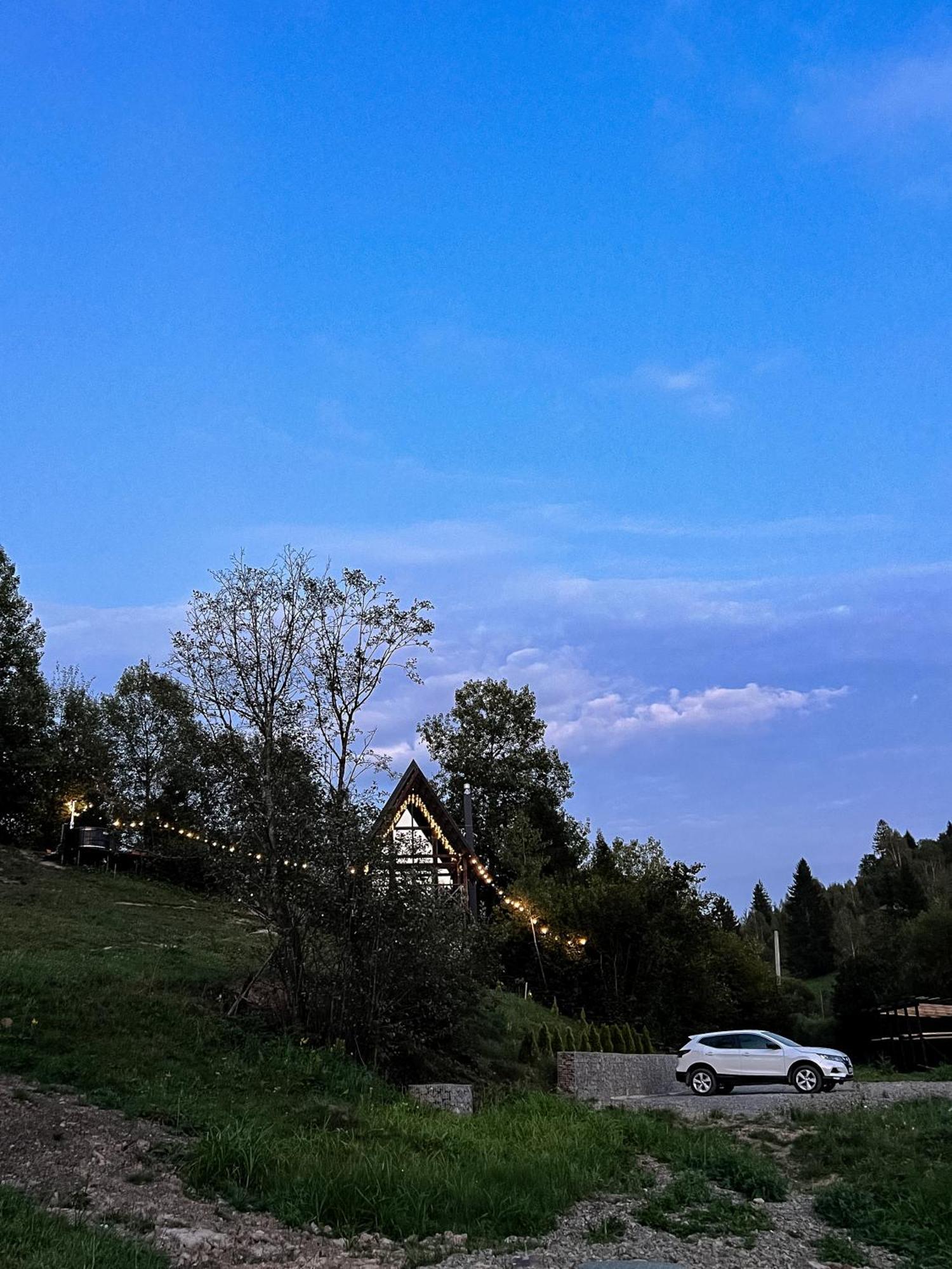 Valley Hills-Котедж На Схилах Гір З Чаном-Джакузі Slavske Exterior photo