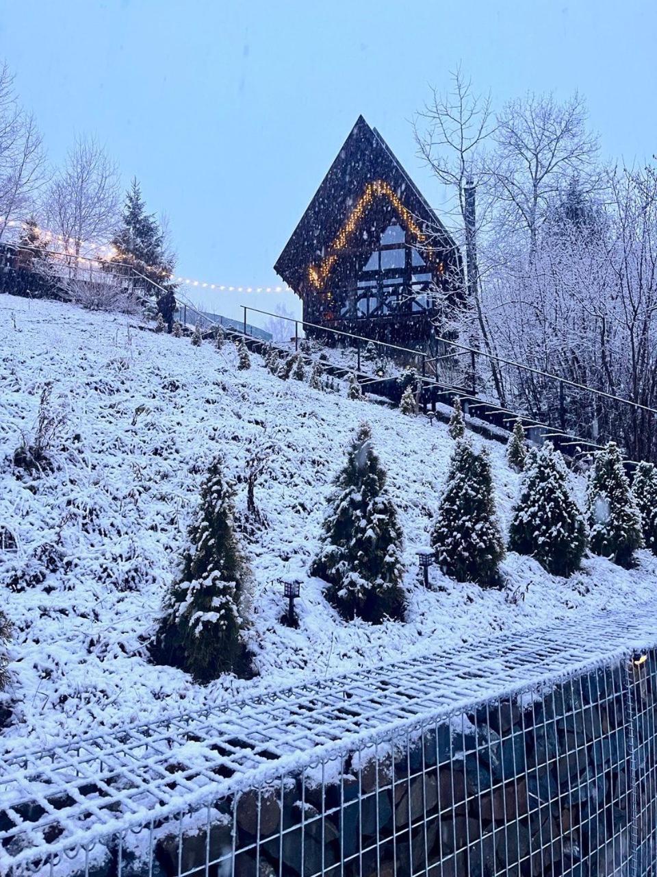 Valley Hills-Котедж На Схилах Гір З Чаном-Джакузі Slavske Exterior photo
